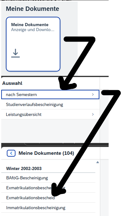 2026_04_21_exmatrikulationsbescheide_sim-portal.png